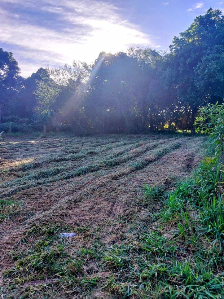 Terreno, 595 m² - Foto 2