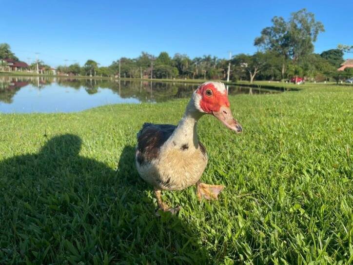 Casa, 3 quartos, 120 m² - Foto 16