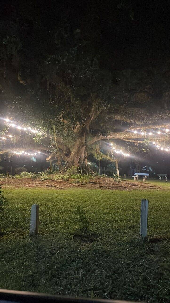 Casa, 3 quartos, 120 m² - Foto 23