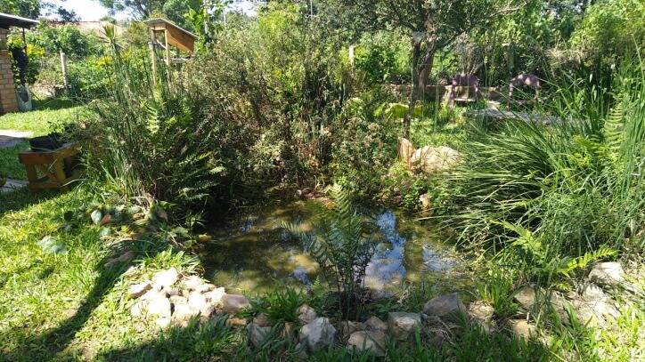 Sítio, 3 quartos, 940 m² - Foto 17