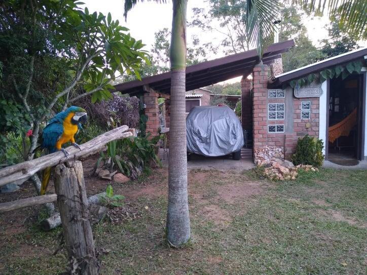 Sítio, 3 quartos, 940 m² - Foto 29