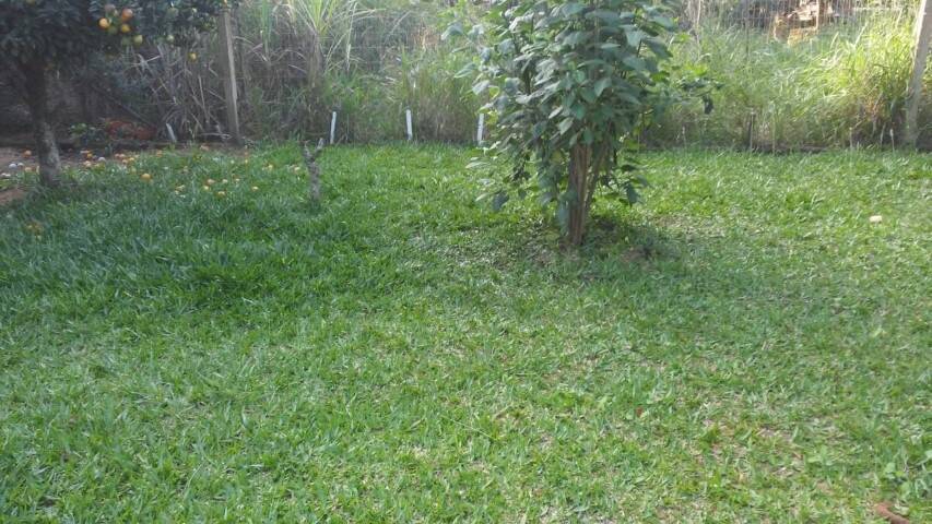 Casa, 2 quartos, 60 m² - Foto 19