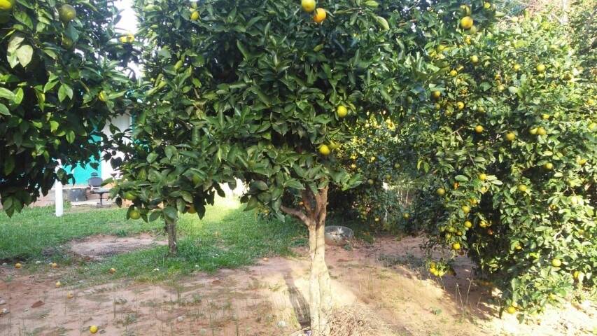 Casa, 2 quartos, 60 m² - Foto 21