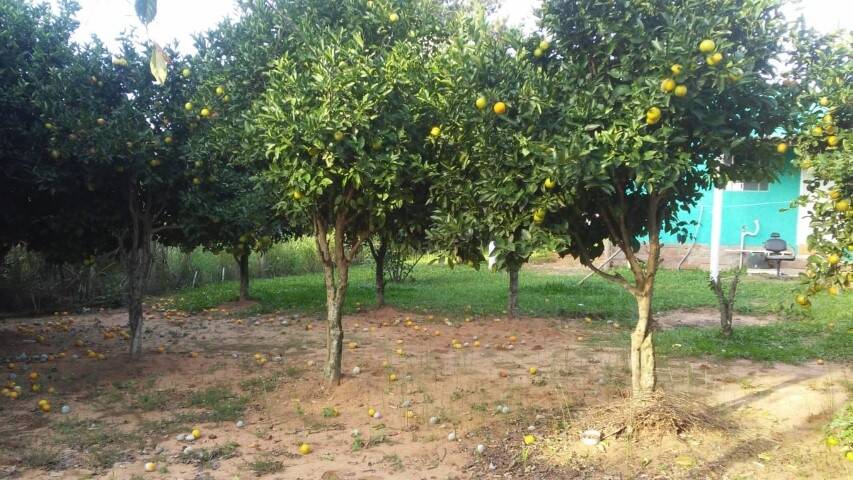 Casa, 2 quartos, 60 m² - Foto 23