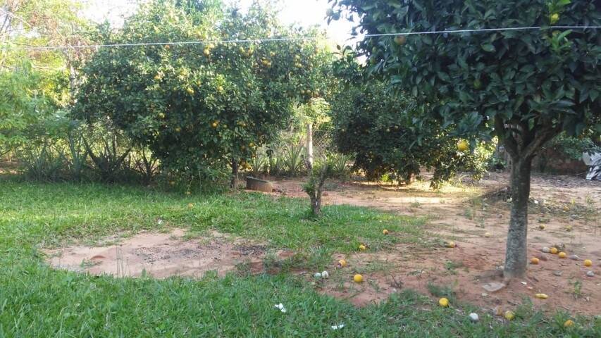 Casa, 2 quartos, 60 m² - Foto 22