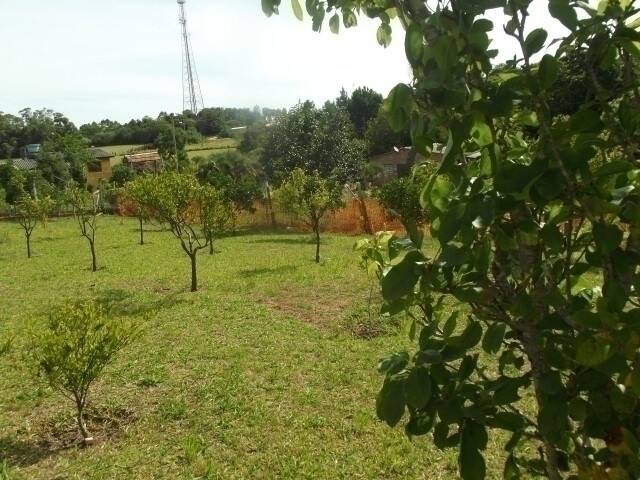 Casa, 2 quartos, 100 m² - Foto 4