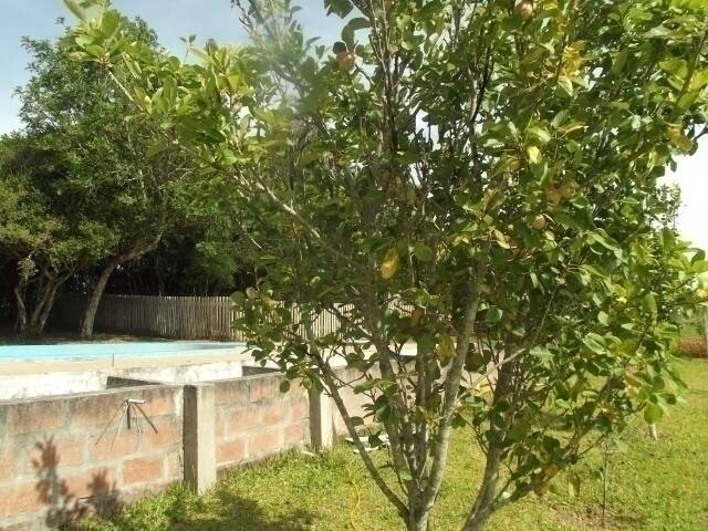 Casa, 2 quartos, 100 m² - Foto 6