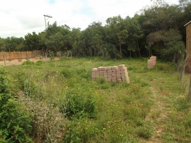 Terreno, 585 m² - Foto 6