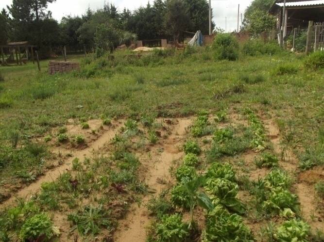 Terreno, 585 m² - Foto 9