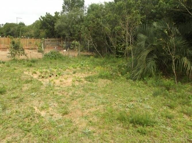 Terreno, 585 m² - Foto 7