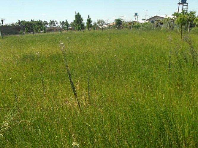 Terreno, 300 m² - Foto 9