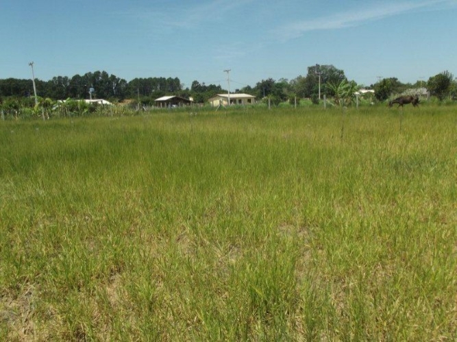 Terreno, 300 m² - Foto 5