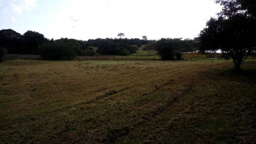 Terreno, 5536 m² - Foto 13