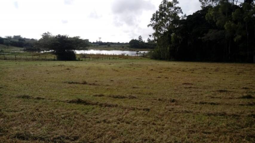 Terreno, 5536 m² - Foto 1