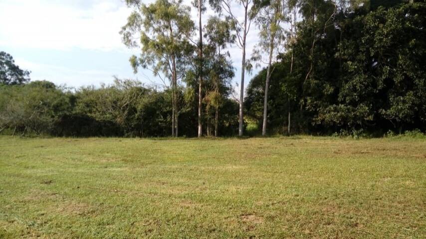 Terreno, 5536 m² - Foto 12