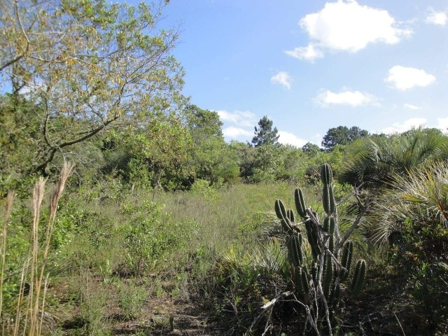 Terreno, 4 m² - Foto 7