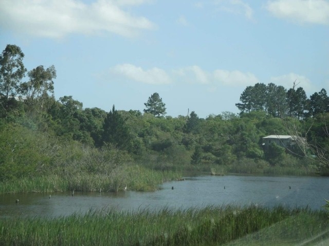 Terreno, 4 m² - Foto 3