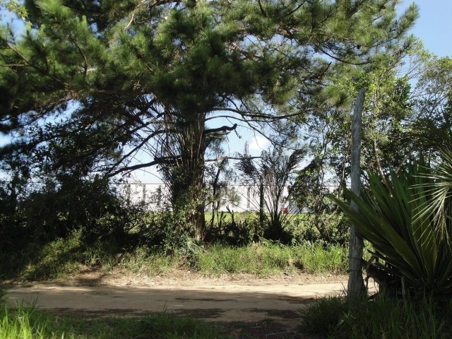 Terreno, 4 m² - Foto 6