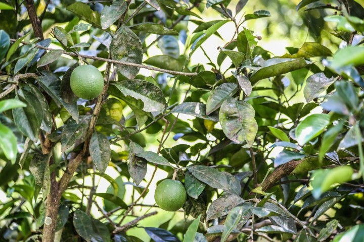 Terreno, 2 m² - Foto 27