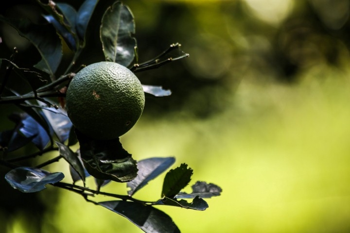 Terreno, 2 m² - Foto 26