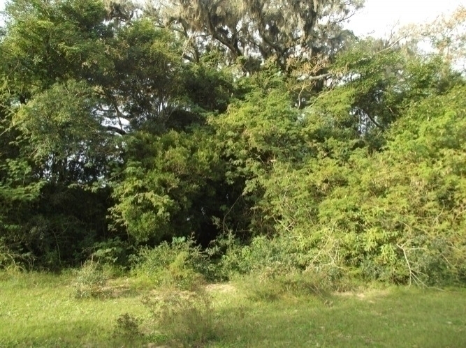 Terreno, 8 m² - Foto 15