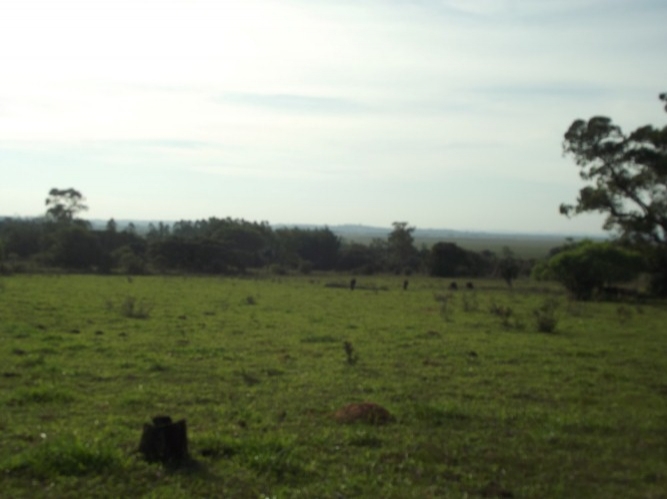 Terreno, 8 m² - Foto 21