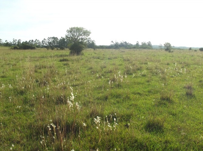 Terreno, 8 m² - Foto 7