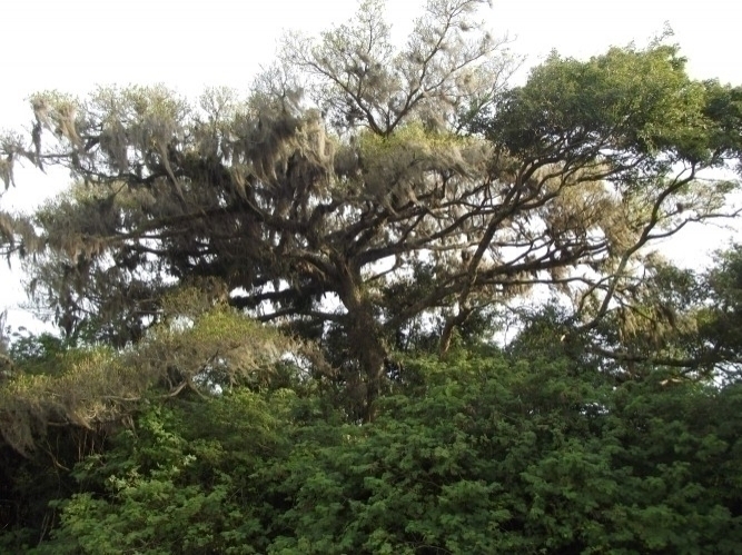 Terreno, 8 m² - Foto 20