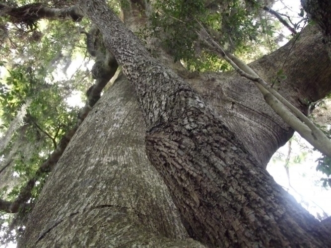 Terreno, 8 m² - Foto 17