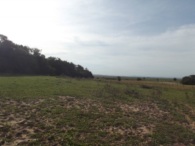 Terreno, 8 m² - Foto 5