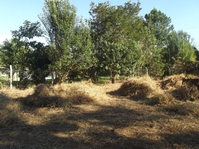 Terreno, 600 m² - Foto 6