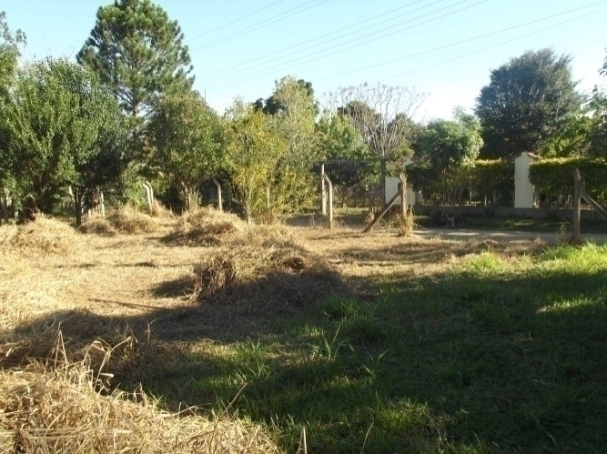 Terreno, 600 m² - Foto 8