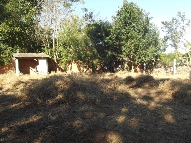 Terreno, 600 m² - Foto 7