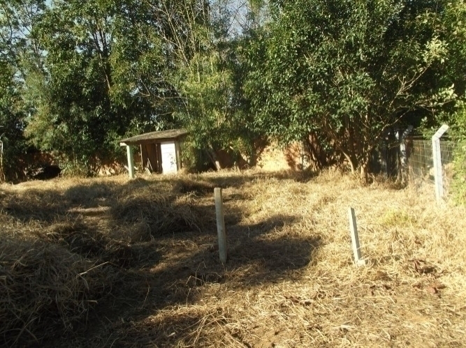 Terreno, 600 m² - Foto 3