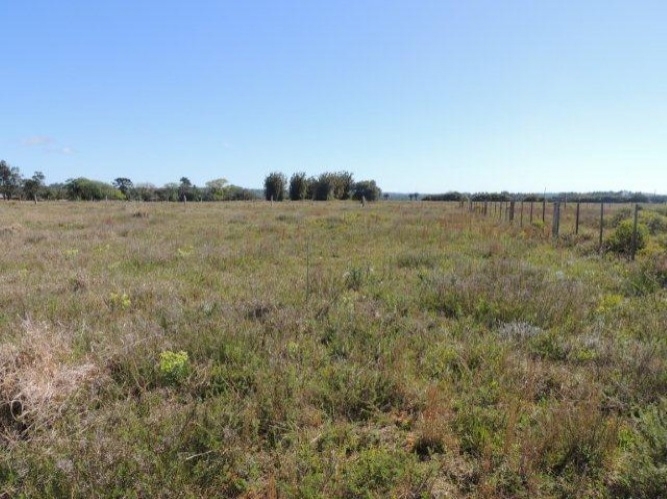 Terreno, 1000 m² - Foto 3