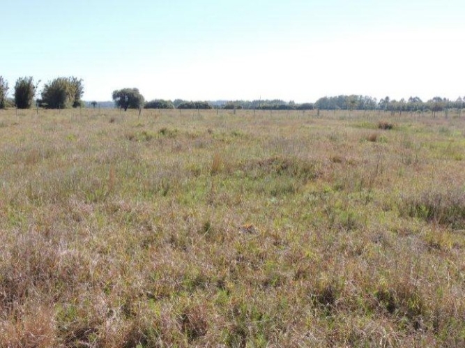 Terreno, 1000 m² - Foto 7