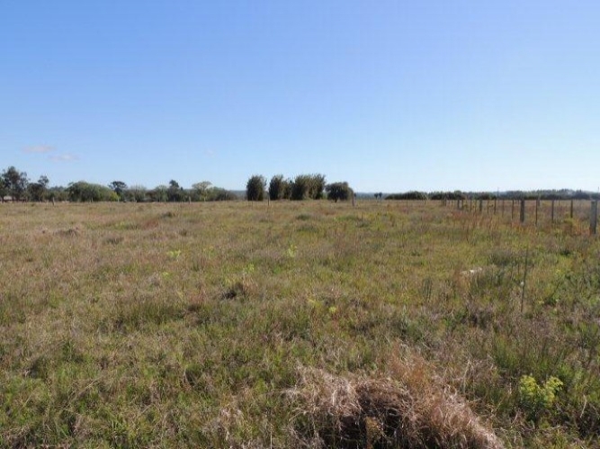 Terreno, 1000 m² - Foto 4