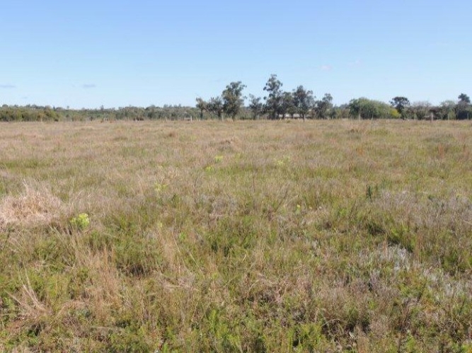 Terreno, 1000 m² - Foto 12