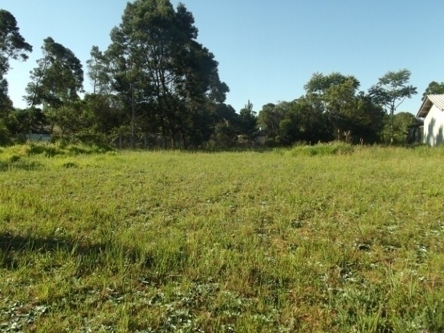 Terreno, 2000 m² - Foto 6