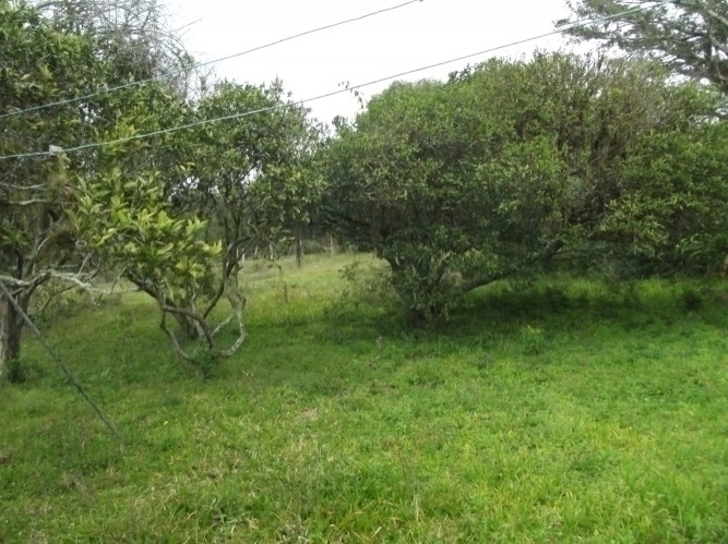 Sítio à venda com 1 quarto, 84m² - Foto 12