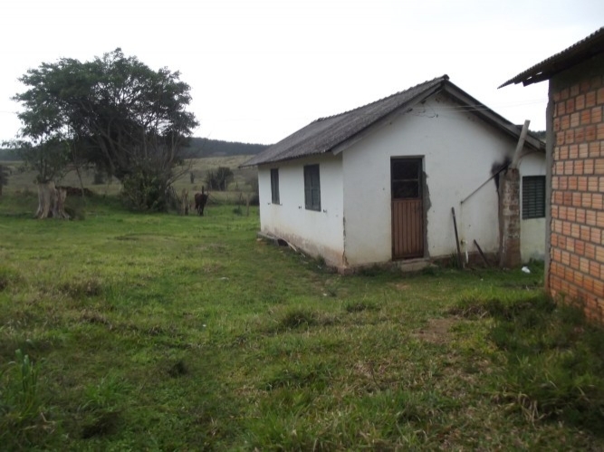 Sítio à venda com 1 quarto, 84m² - Foto 10