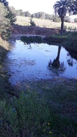 Casa, 4 quartos, 152 m² - Foto 16