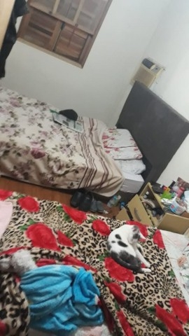 Casa, 4 quartos, 152 m² - Foto 13