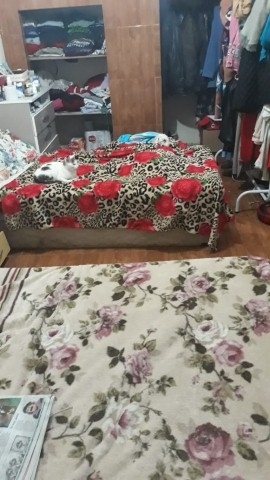 Casa, 4 quartos, 152 m² - Foto 12