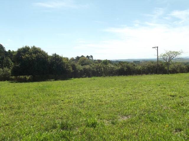 Fazenda à venda com 1 quarto, 50m² - Foto 2