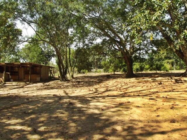 Fazenda à venda com 1 quarto, 50m² - Foto 6