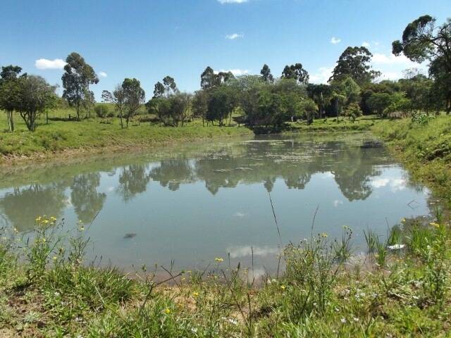 Fazenda à venda com 1 quarto, 50m² - Foto 16