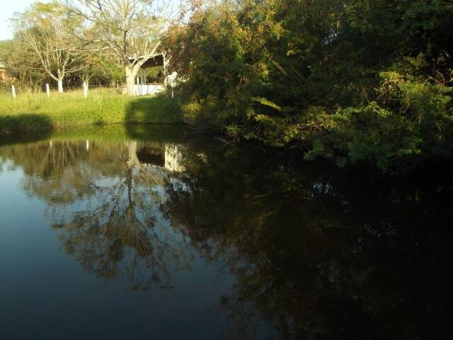 Sítio, 2 quartos, 1750 m² - Foto 35