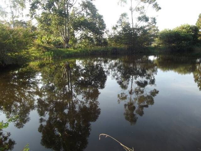 Sítio, 2 quartos, 1750 m² - Foto 36