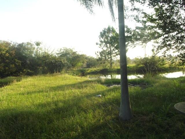 Sítio, 2 quartos, 1750 m² - Foto 37